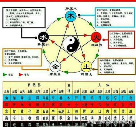 金木水火土 生日|五行查询 金木水火土五行查询表出生年月日